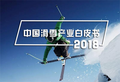 2018 中国yabovip6产业白皮书